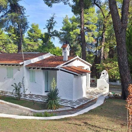 סאני ביץ' Villa Nefeli מראה חיצוני תמונה