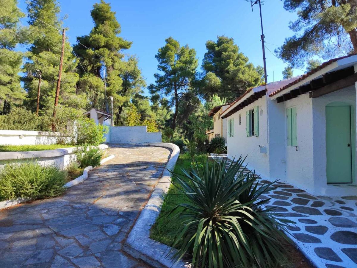 סאני ביץ' Villa Nefeli מראה חיצוני תמונה